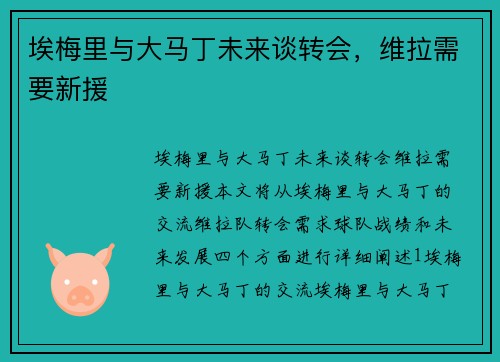 埃梅里与大马丁未来谈转会,维拉需要新援
